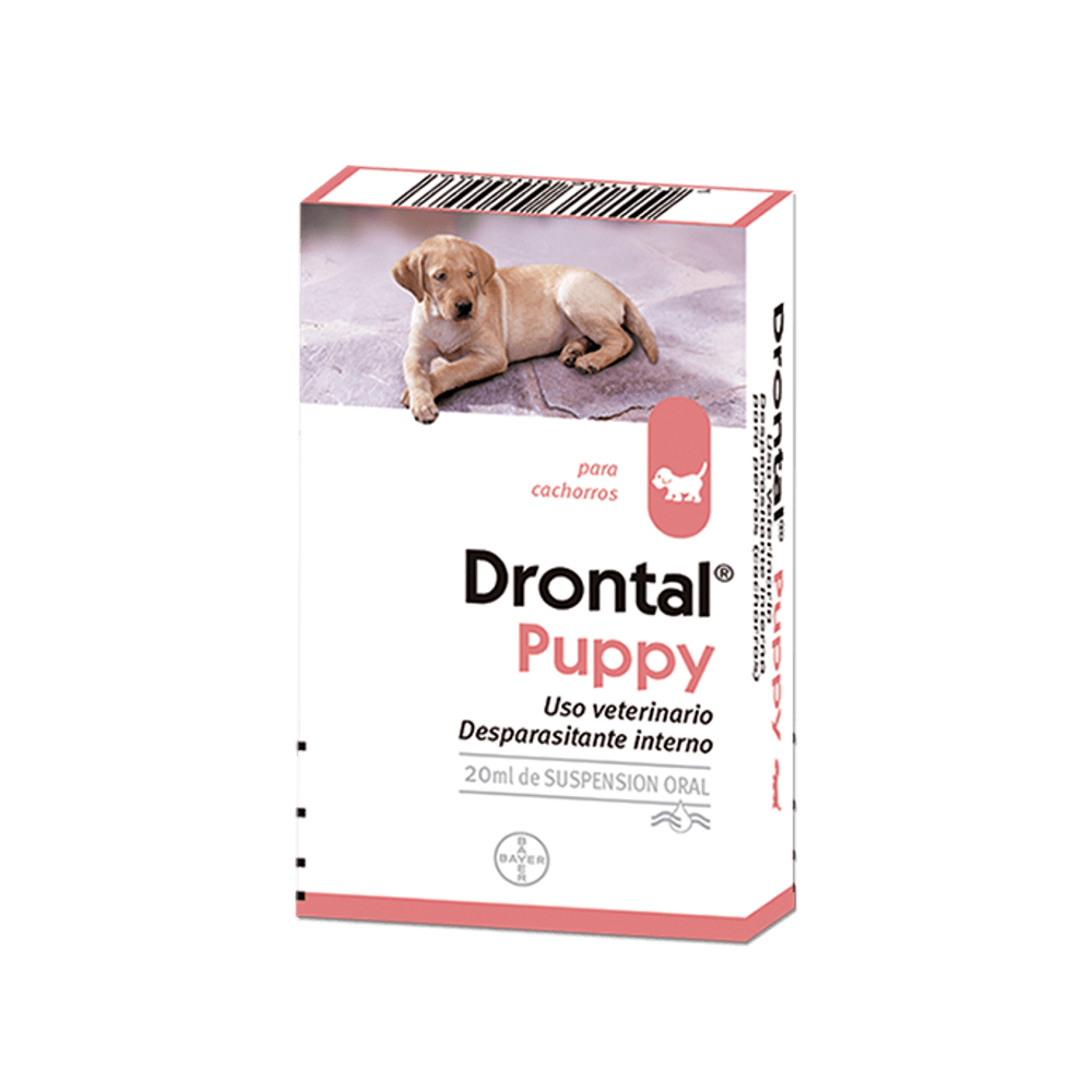 drontal puppy bayer