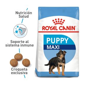 Alimento-Perro-ROYAL-CANIN-SHN-MAXI-PUPPY-1-KG
